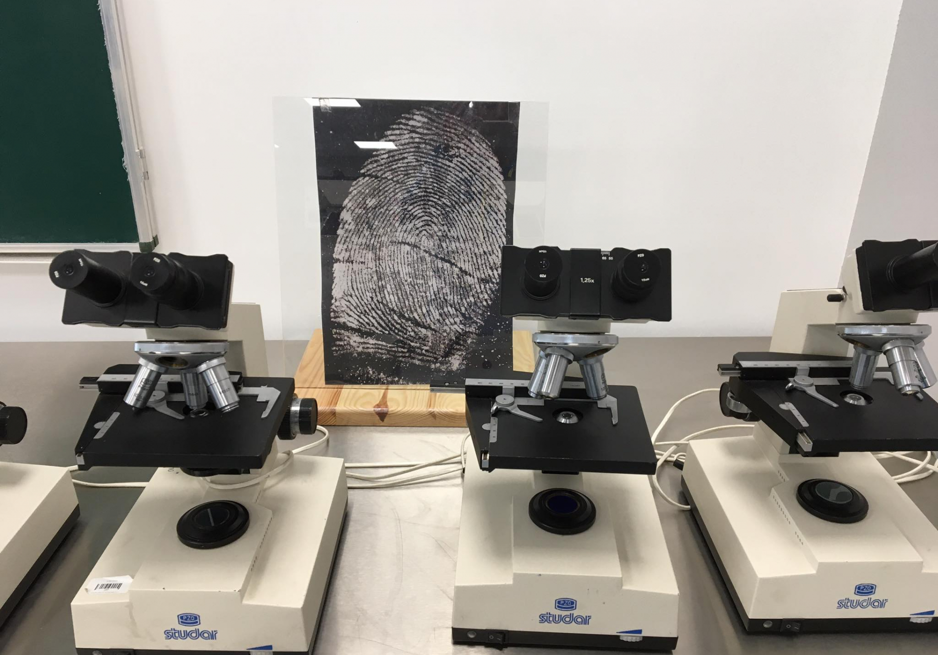 Zajęcia z kryminalistyki i kryminologii