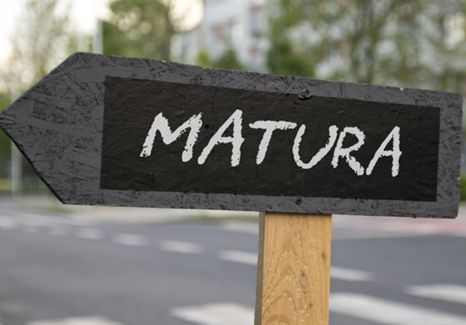 Kursy dla maturzystów - Lecturus