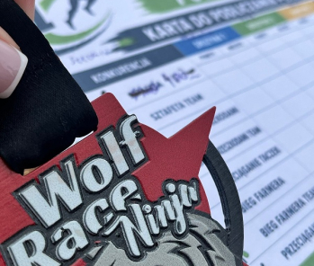 Sportowa rywalizacja szkół ponadpodstawowych Powiatu Pilskiego